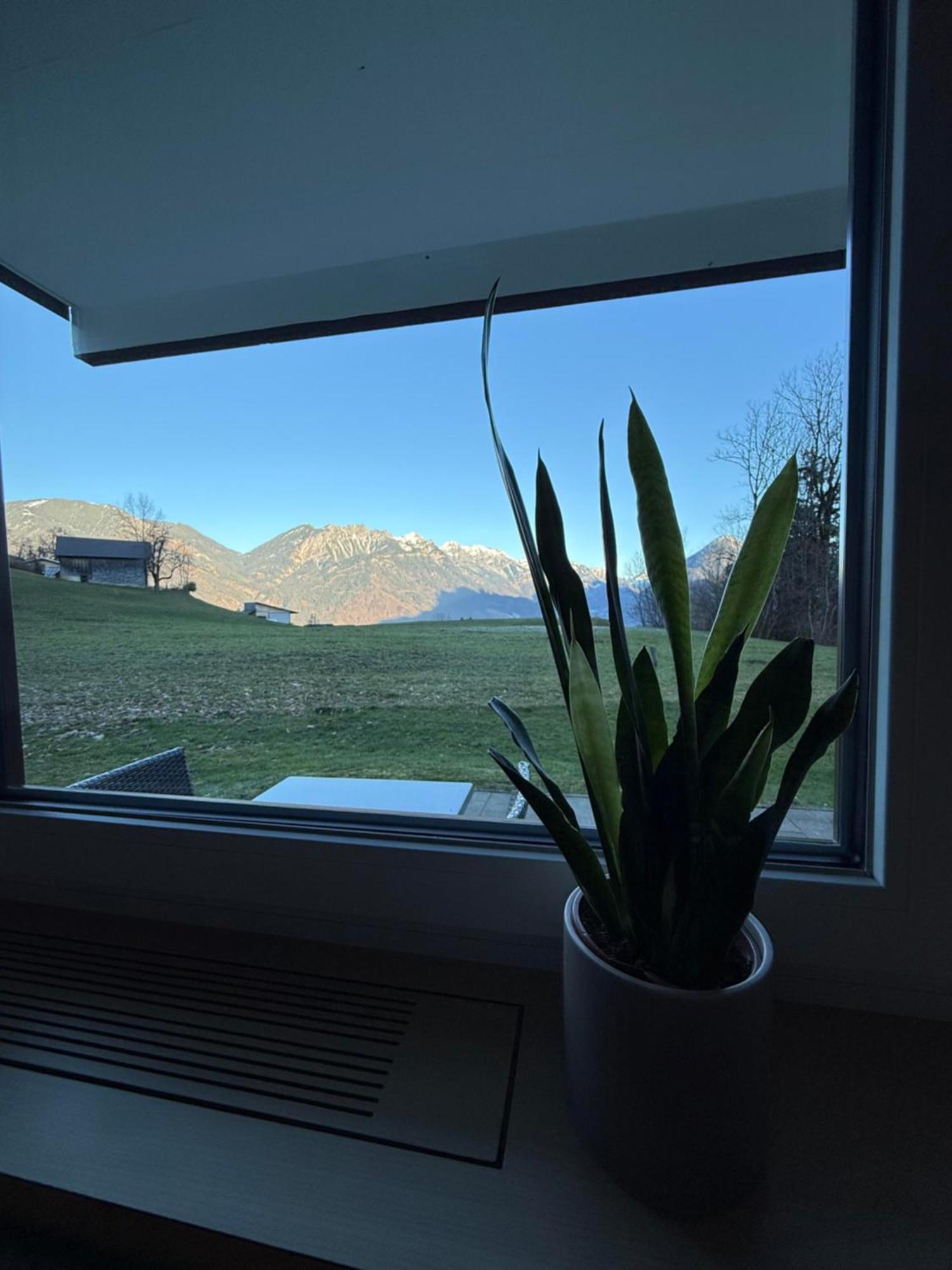Bergnest Brandnertal Διαμέρισμα Bürserberg Εξωτερικό φωτογραφία